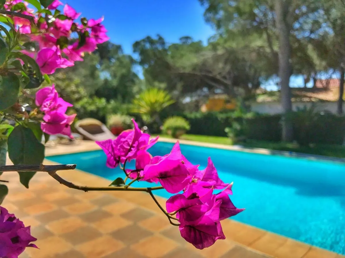 El Nacar Bed & Breakfast Marbella