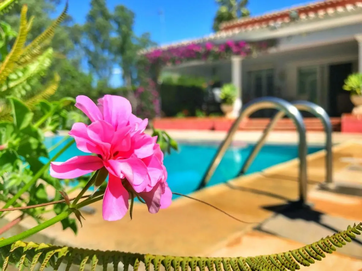 El Nacar Bed & Breakfast Marbella