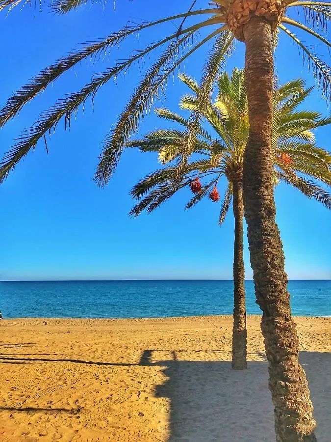 El Nacar Bed & Breakfast Marbella 0*,  Spanje